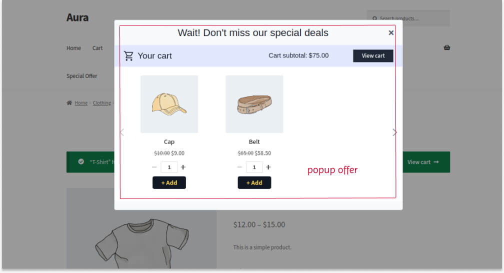 Campaign 4b- Showing related products on popup offer