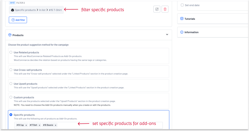 Filtering and Setting Products For Add-ons