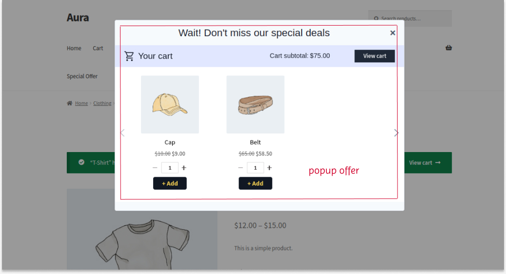Campaign 4b- Showing related products on the pop-up offer